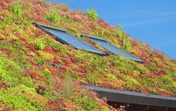 Amington living roof systems